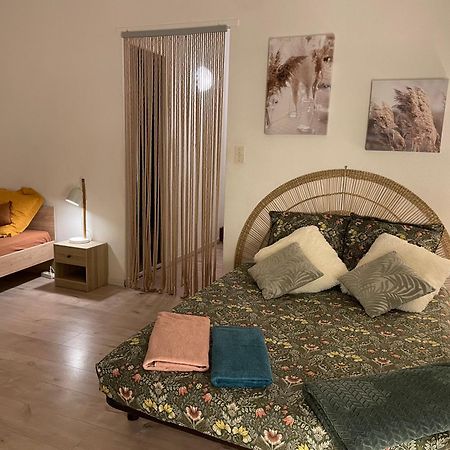 Apartmán T2 Plein Centre Au 1Er Etage Avec Parking Prive Millau Exteriér fotografie
