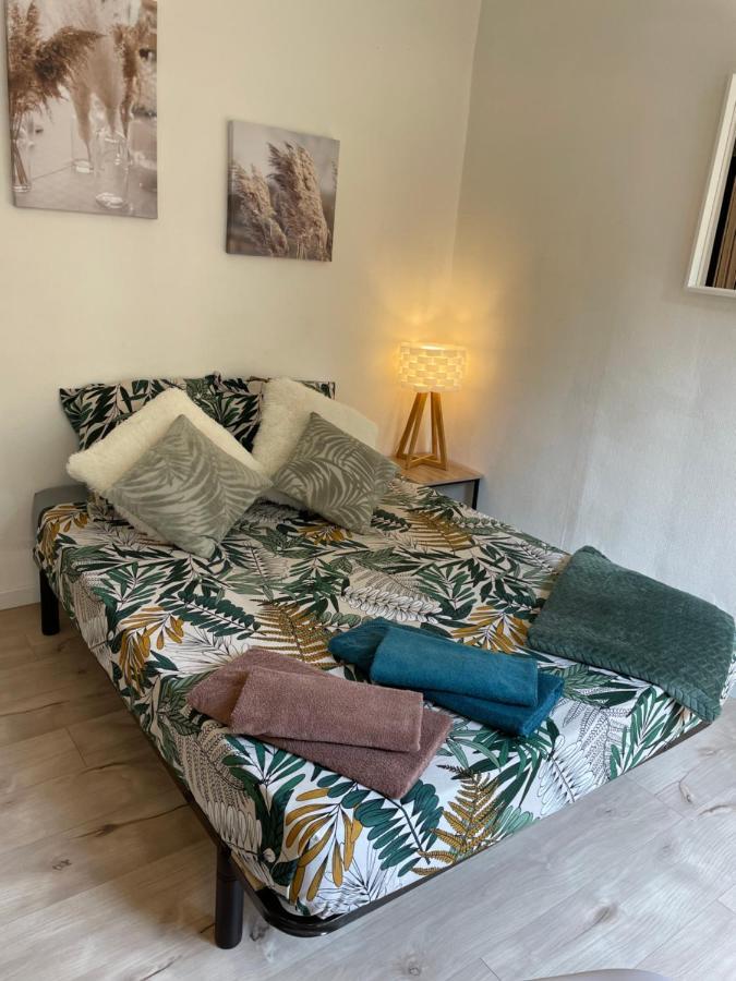 Apartmán T2 Plein Centre Au 1Er Etage Avec Parking Prive Millau Exteriér fotografie