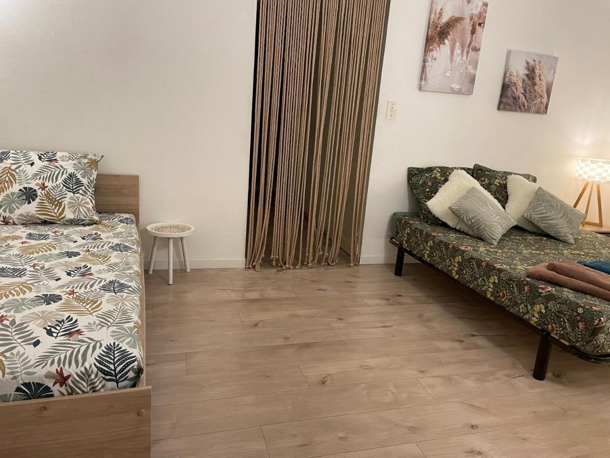 Apartmán T2 Plein Centre Au 1Er Etage Avec Parking Prive Millau Exteriér fotografie